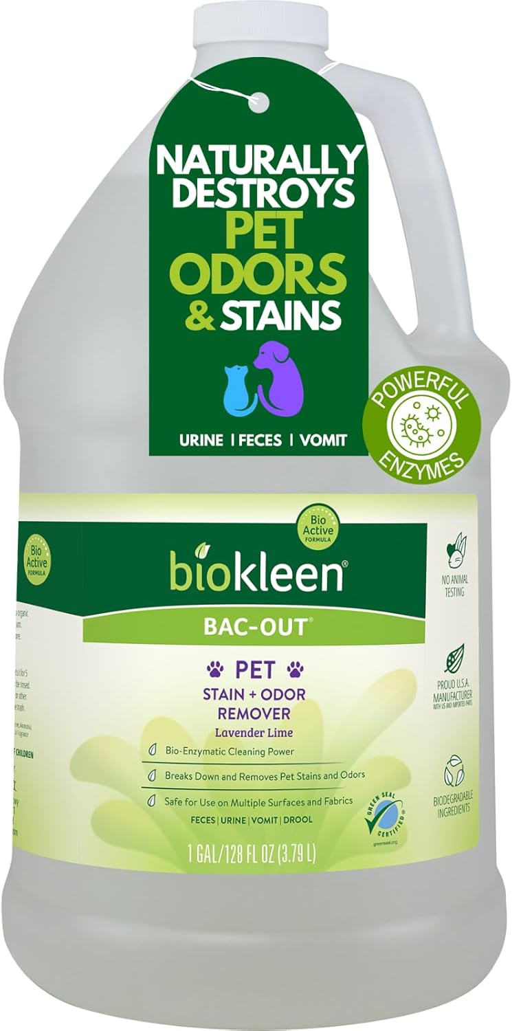 Biokleen Bac-Out Pet Stain Remover - Enzymatic, Natural, Plant-Based Destroys Stains & Odors, Safe for Surfaces & Fabrics, Carpet Cleaner - Eco-Friendly, Lavender Lime Scent, 1 Gallon