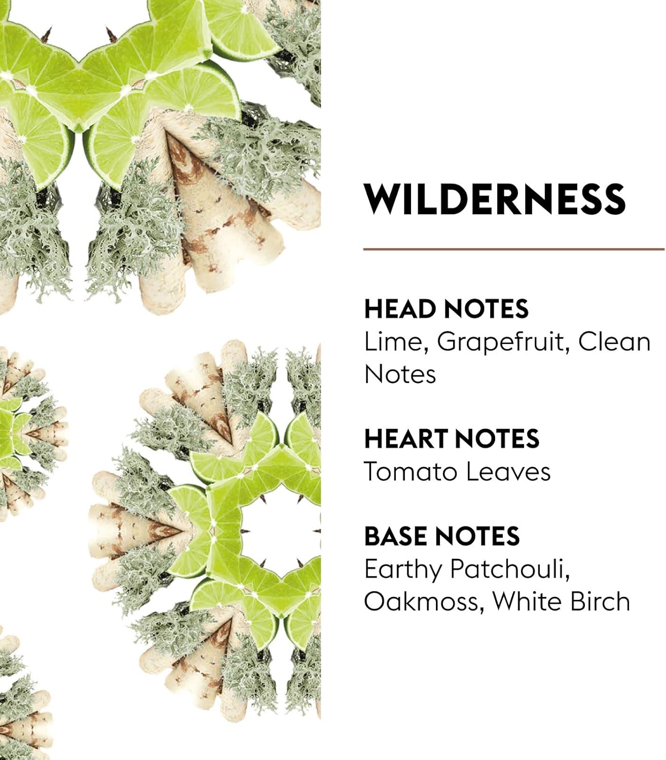 MAISON BERGER Wilderness Fragrance Refill – 1 Liter (33.8 Fluid Ounces) Air Freshener with Green & Earthy Notes - Tomato Leaf, Oak Moss, Birch, Dye-Free – Made in France – 40-Hour Diffusion