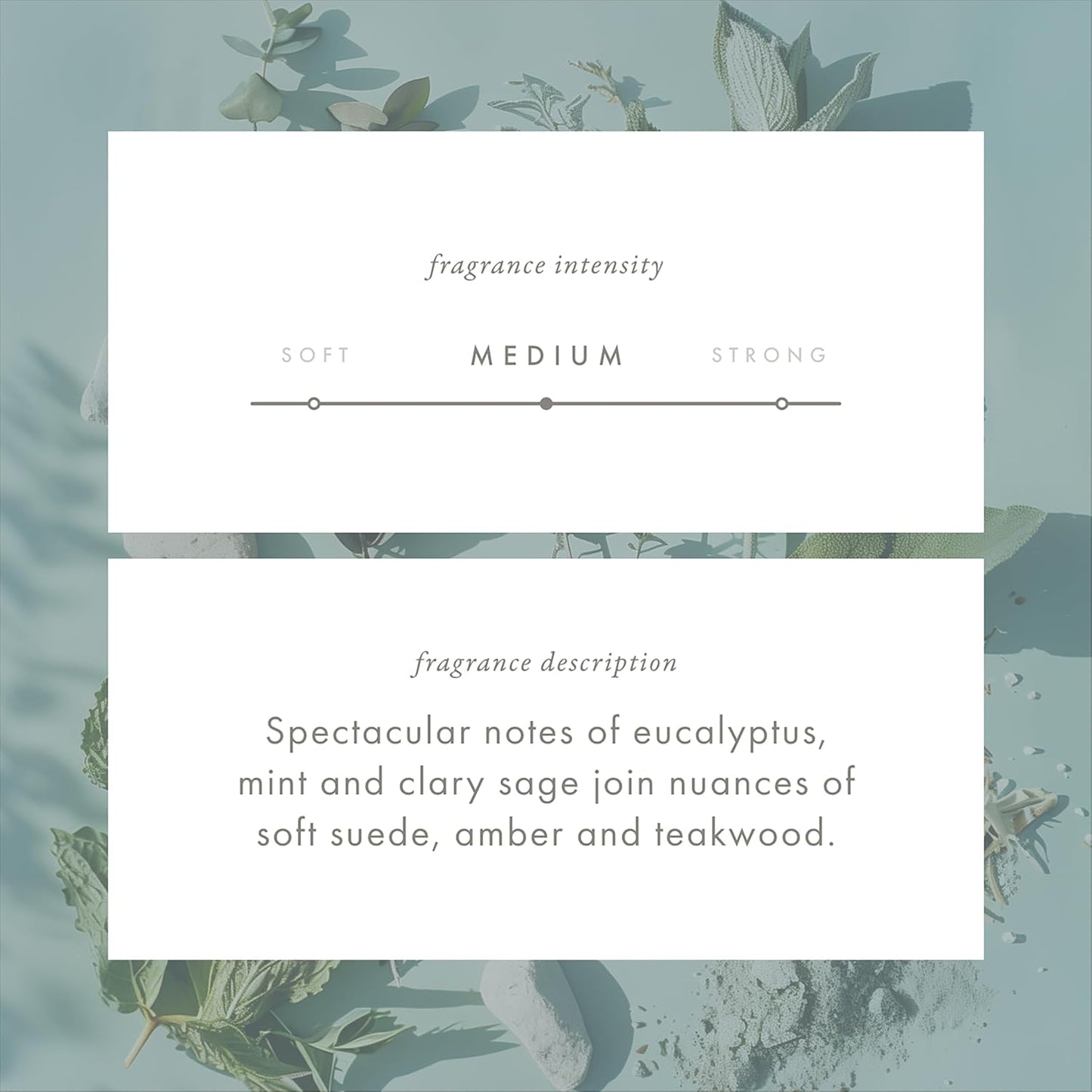 ScentAir Whisper Home Monthly Plug-in Refill, Fragrance Cartridge for Home and Office, Australian Coast