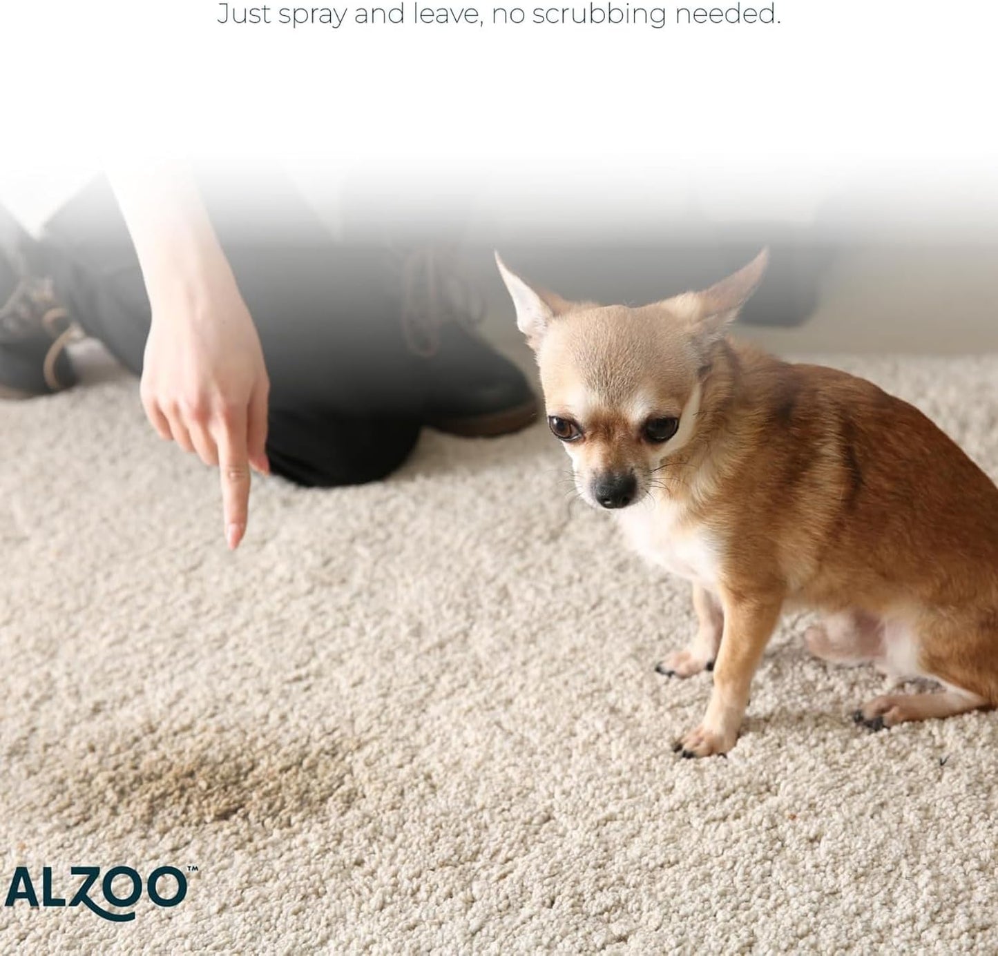 ALZOO Concentrated Stain & Odor Remover Refill Bottle, 100% Plant-Based Active Ingredients, 1.1 Fl. Oz, Pack of 3