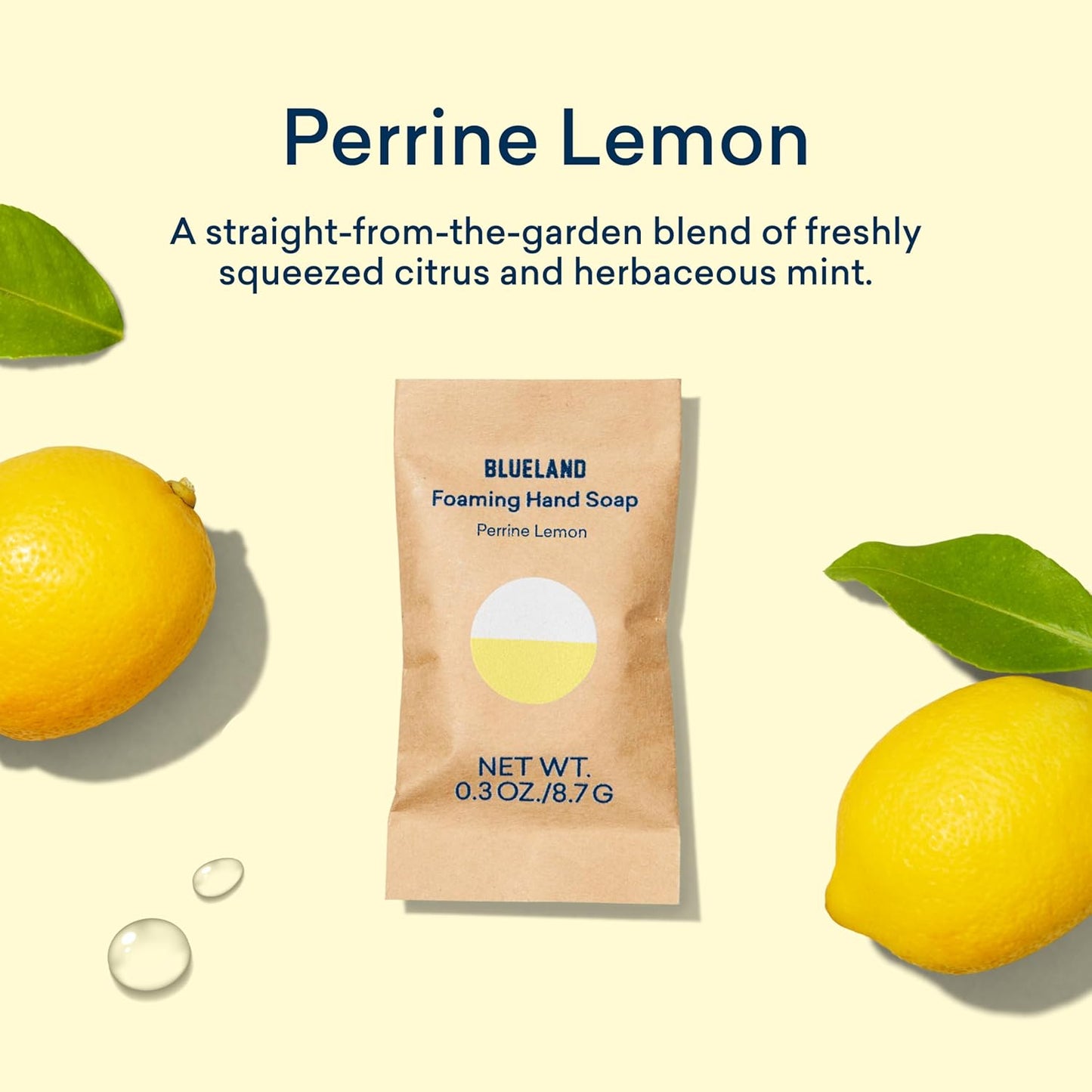 BLUELAND Foaming Hand Soap Refill Tablets, 10-Pack, Perrine Lemon Scent, Eco Friendly Cleaning Products, 10 x 9 Fl oz