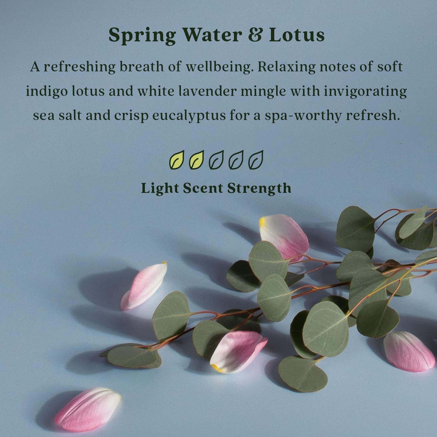 Enviroscent Non-Toxic Air Freshener for Home (Spring Water & Lotus) Essential Oil Diffuser | Home Fragrance Last Over 30 Days | 8 Scent Stix Refills