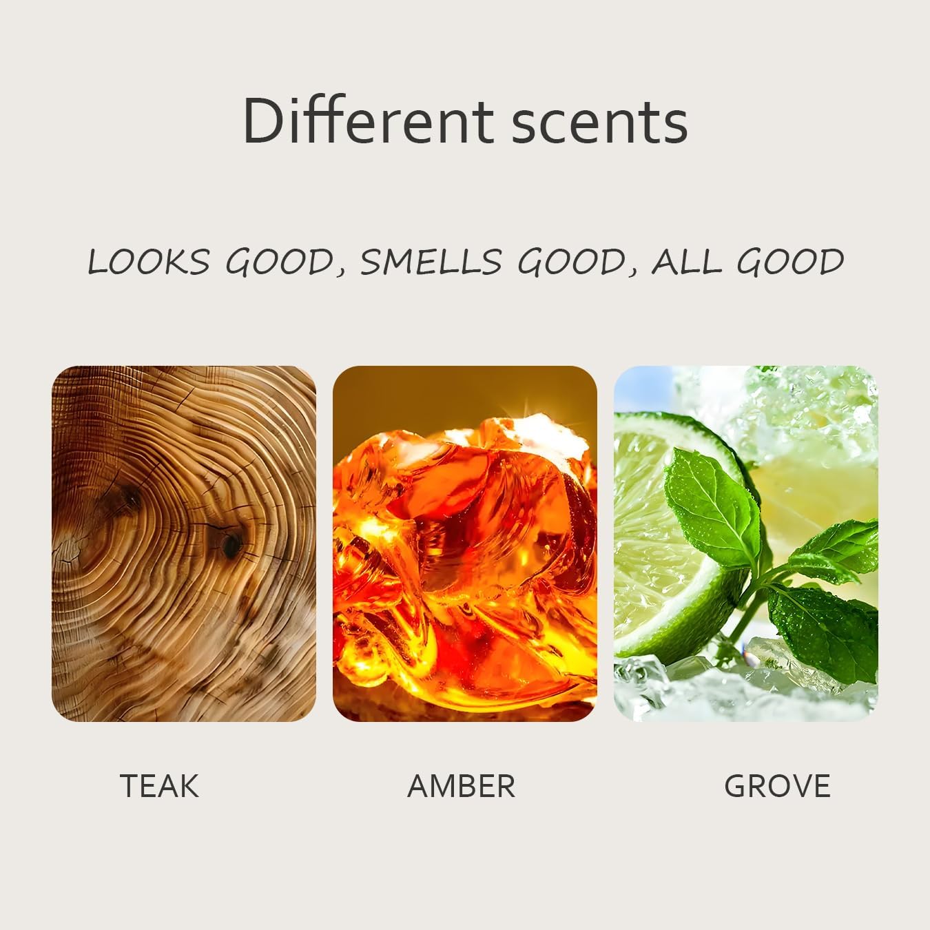 Grove Air Freshener, Stone Scent Starter Kit, Odor Eliminator - Car Visor Clip (Pack of 1 - Grove Scent)