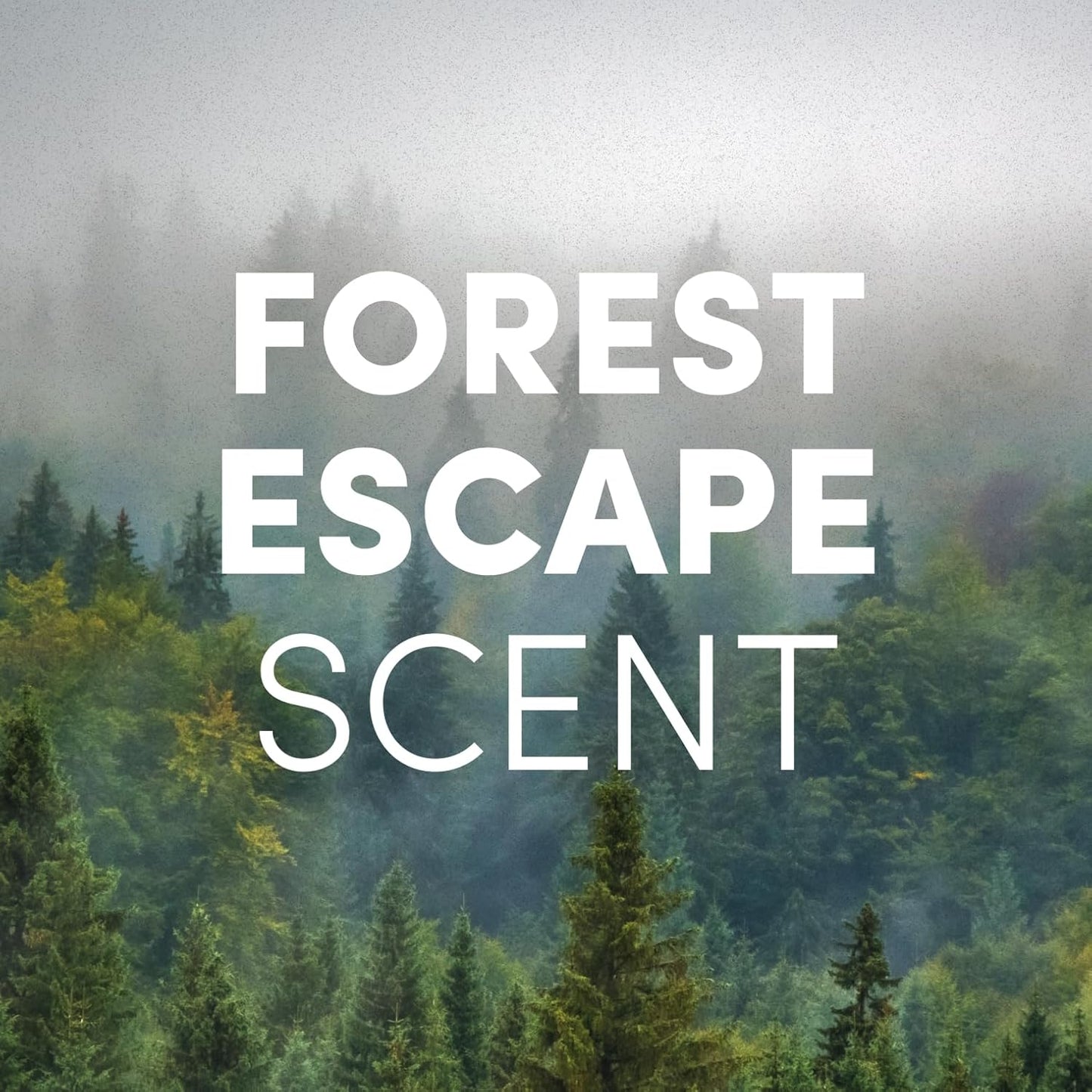 Clean Revolution Liquid Gel Hand Soap, Silky Rich Liquid, Quick Lather, Fast Rinsing, Contains Real Essential Oils (Forest Escape) 64 Fl Oz