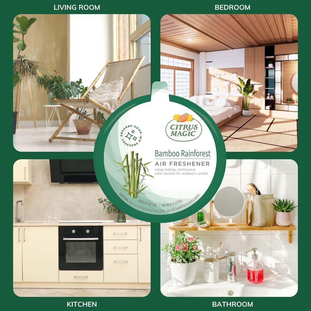 Citrus Magic Solid Air Freshener, Pack of 3, Bamboo Rainforest