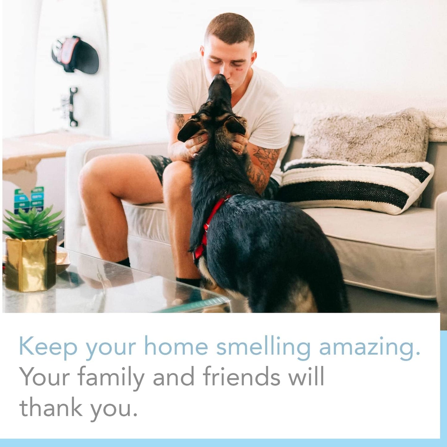 Expressive Scent – Home Fragrance Aromatic Sachets: Premium Long-Lasting Aroma, for Drawers Dressers Closets Car Kitchen, Lavender