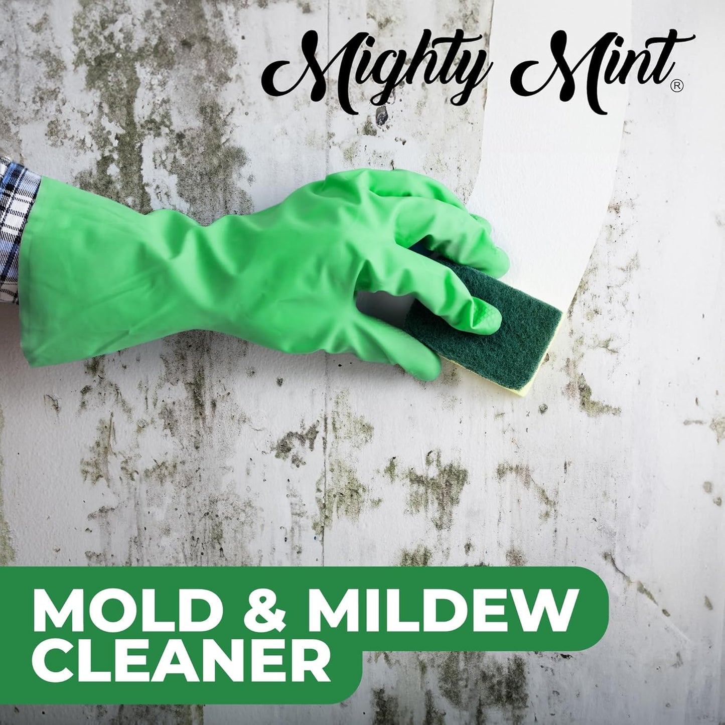Mighty Mint Mold & Mildew Stain Remover Spray, Rapid Clean for Bathroom, Kitchen, Hard Water, Outdoors, Natural Peppermint Scent, 16oz