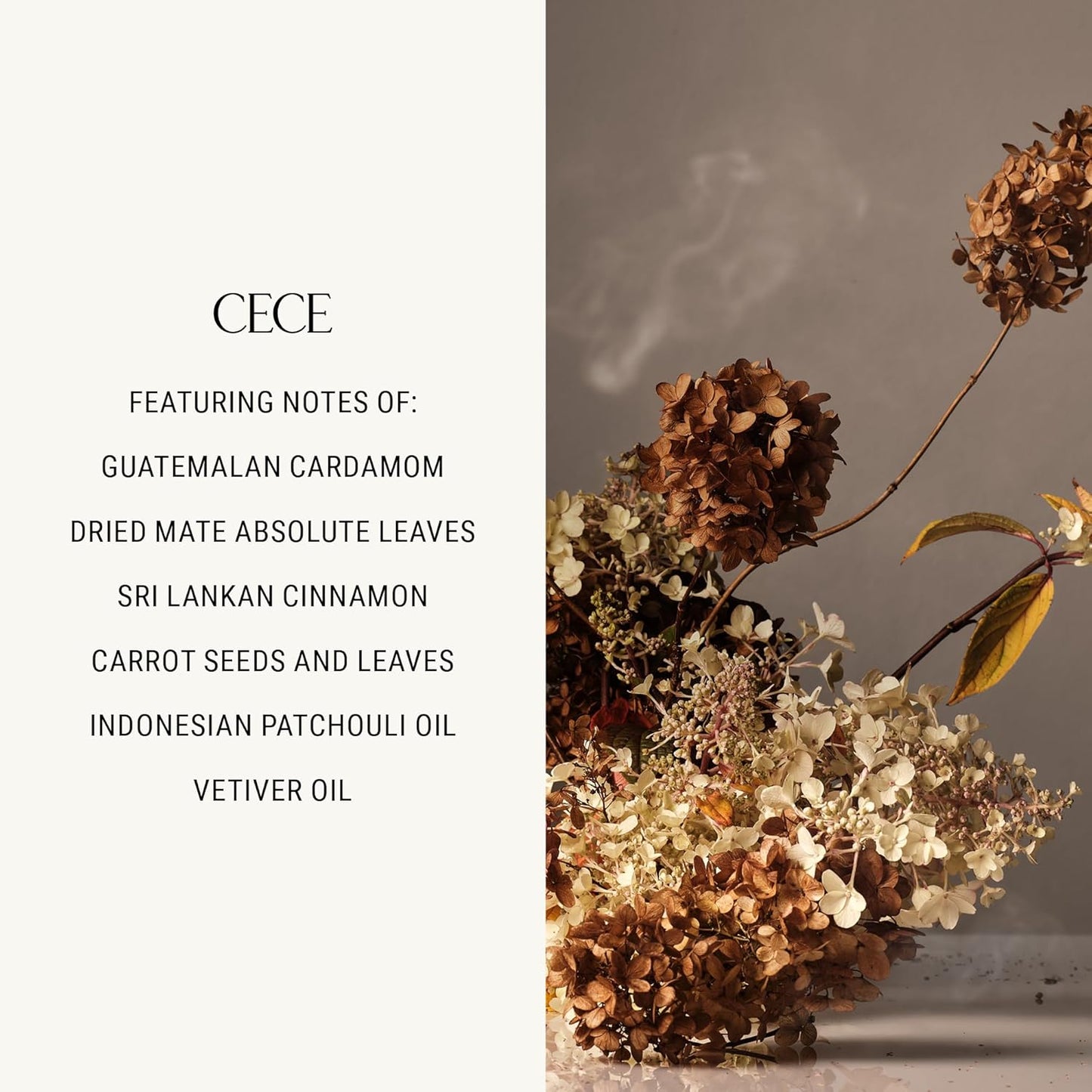 Homecourt All-Purpose Surface Cleaner Spray, Lifts Away Dirt, Smudges & Grease, For Bathroom, Kitchen & more, Clean Formula, Cece, 16 fl oz, 2.0