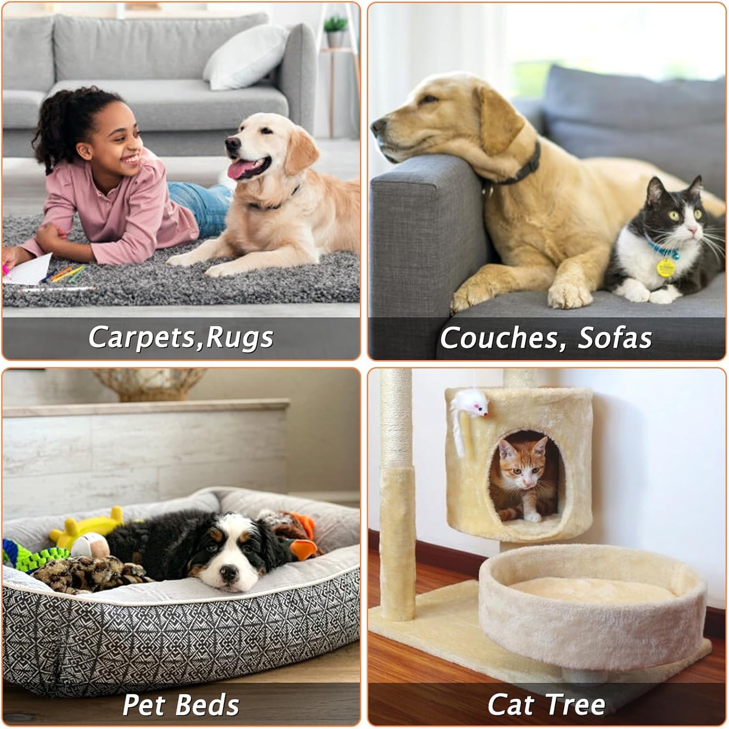 Carpet Rake for Pet Hair Removal - Reusable Pet Hair Remover, 60” Adjustable Long Handle Cat Dog Carpet Rake Scraper, Dog Hair Rake Brush for Rugs, Mats, Couch