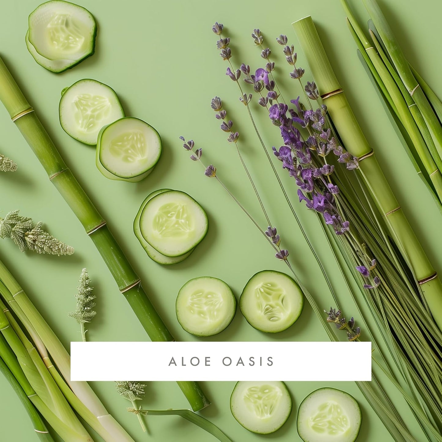 ScentAir Whisper Home Monthly Plug-in Refill, Fragrance Cartridge for Home and Office, Aloe Oasis Pet Calming