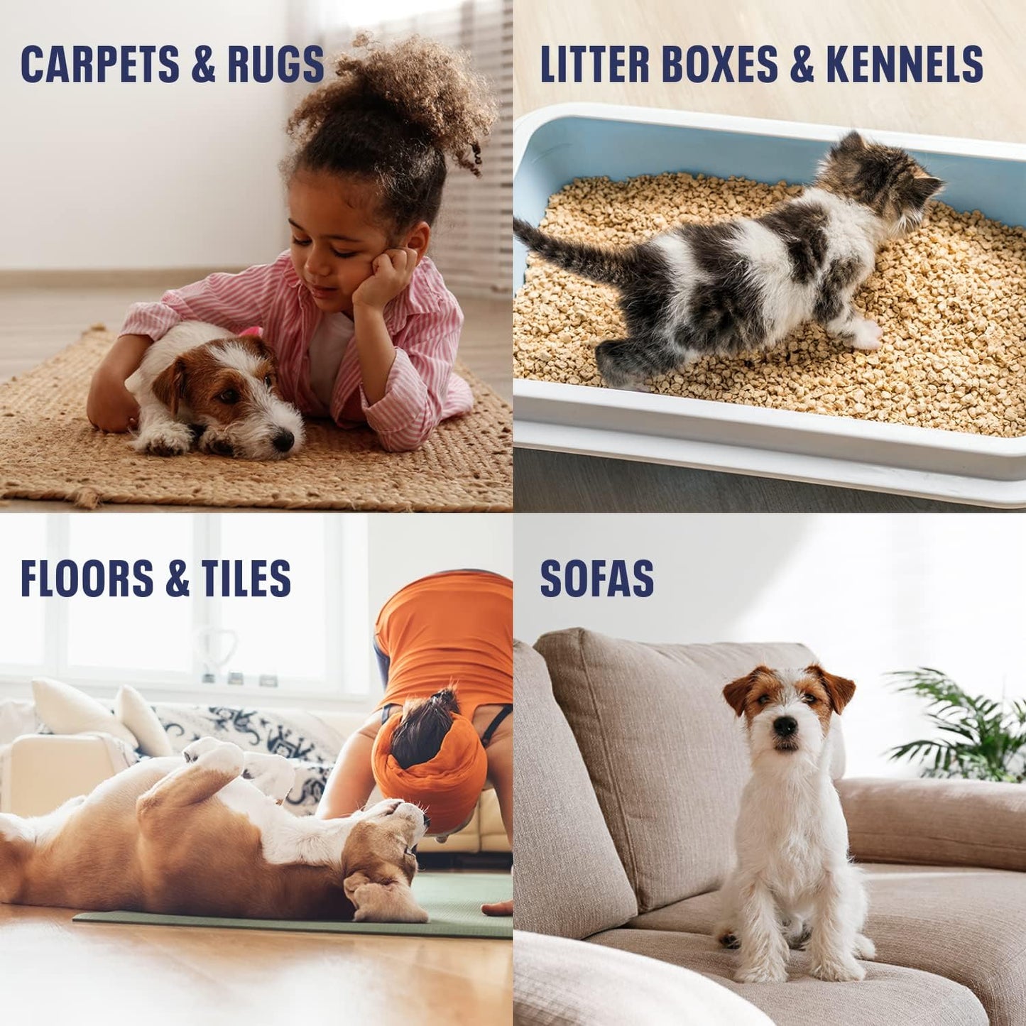 Bioesque Advanced Stain + Odor Remover, Pet-Friendly Natural Enzymatic & Bacterial Formula, Heavy-Duty Stain & Odor Remover, Safe on Carpets, Hard Floors, & More, 1 Gallon (Pack of 1)