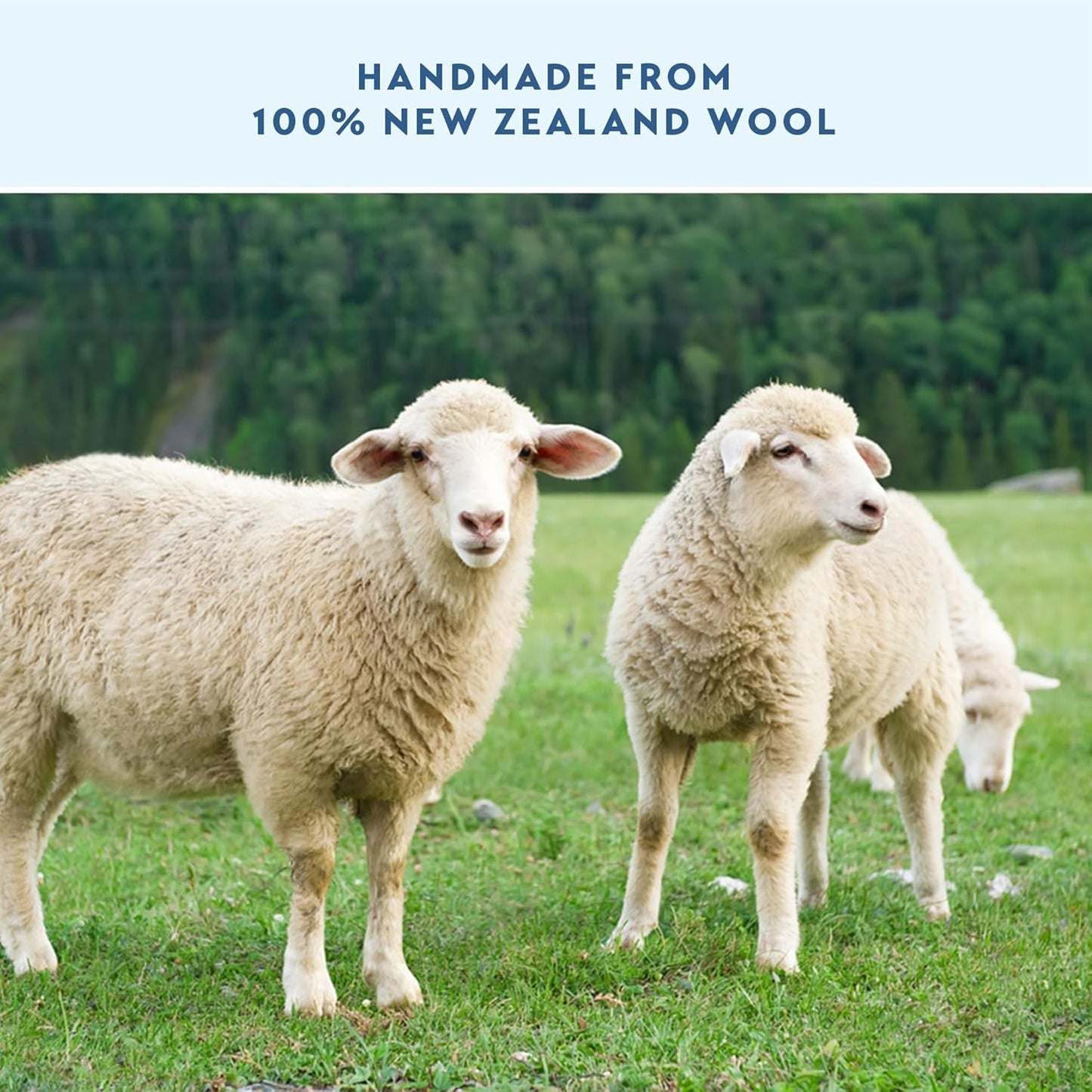 ELYN Wool Dryer Balls 6-Pack - XL, 100% New Zealand Wool, Reusable and Handmade. Fragrance-Free, Natural Fabric & Laundry Softener, Reduce Wrinkles, Static and Drying Time (Grey)