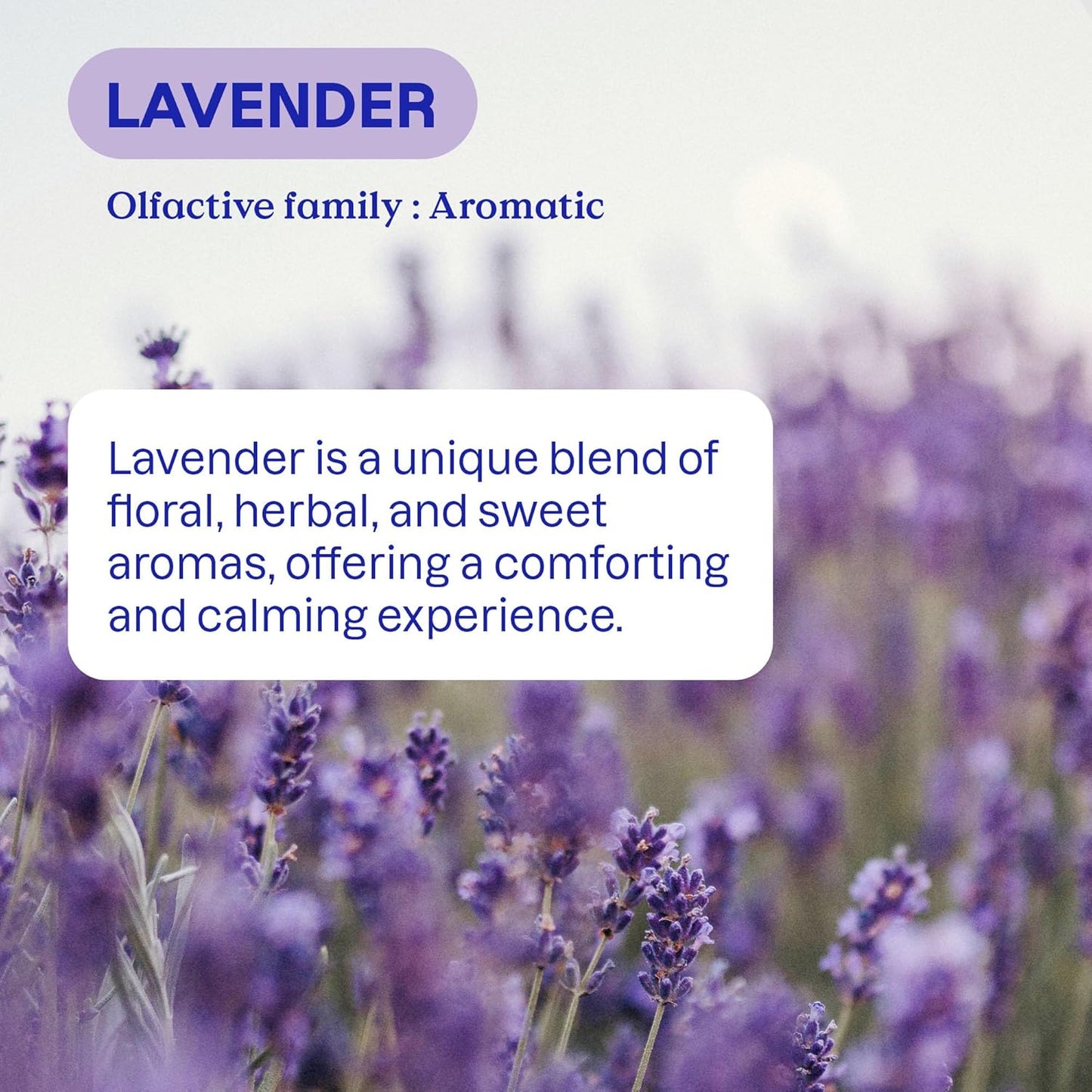 ATTITUDE Liquid Fabric Softener, Plant-Based & Vegan, HE Compatible, Naturally Derived, Lavender Scent, 80 Loads, 67.6 Fl Oz