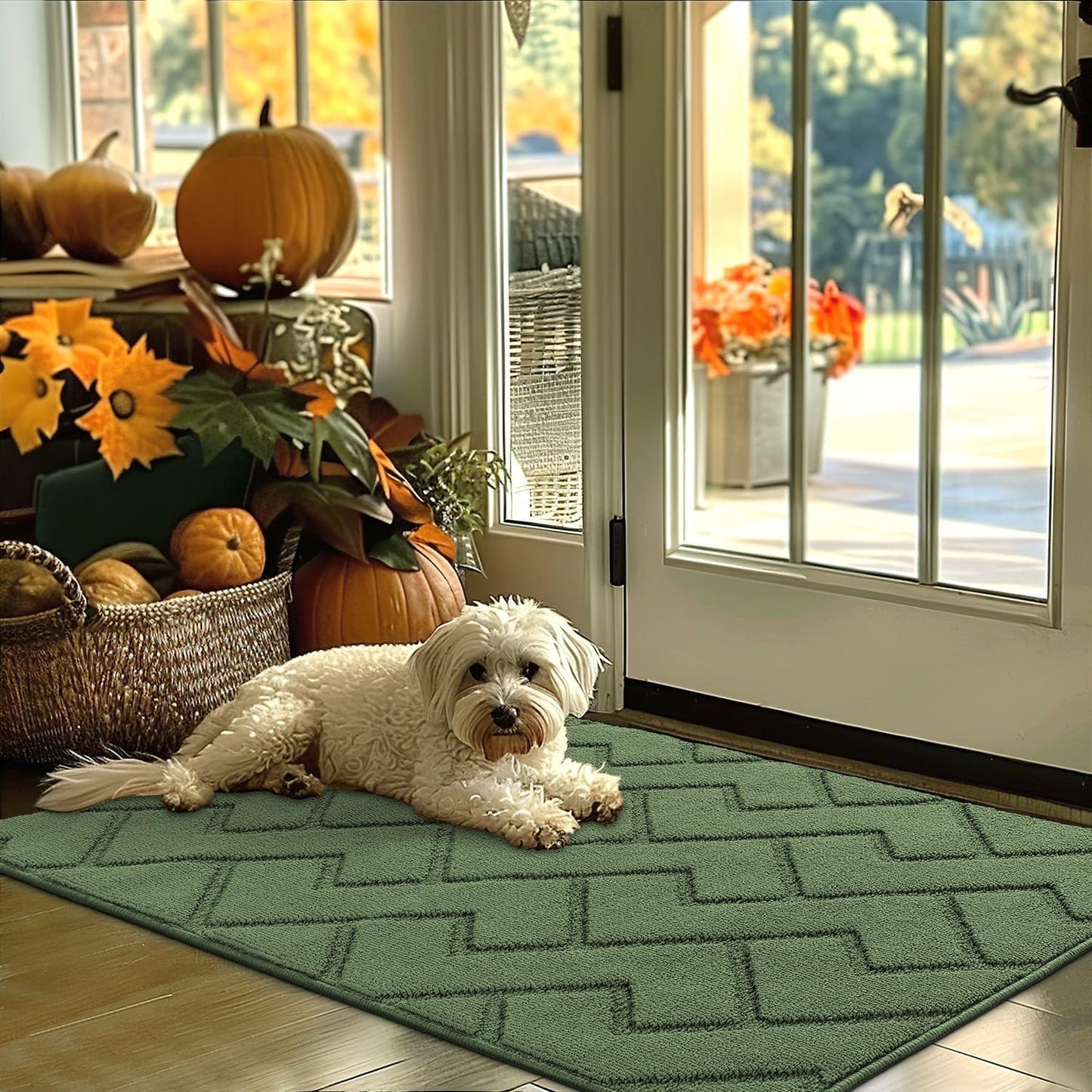hicorfe Indoor Door Mat,Non Slip Door Mats,32"x48" Front Back Door Mat Rubber Backing,Absorbent Resist Dirt Entrance Inside Floor Mats for Entryway Washable Low-Profile(Green)