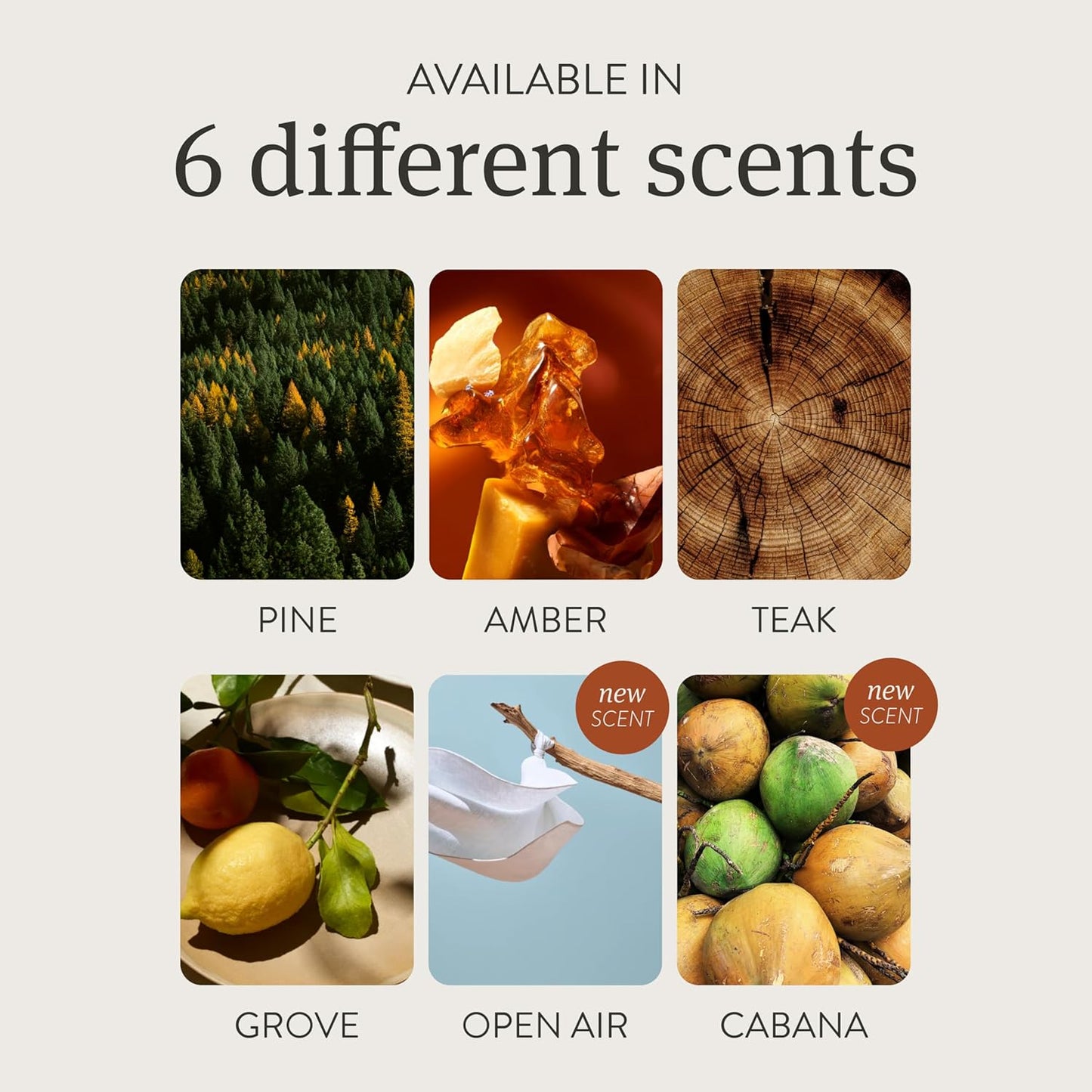 Drift Car Air Freshener - The Original Wood Air Freshener - Car Odor Eliminator - Long Lasting Scent - Auto Accessories - Metal Clip - Essential Oils - Clean Ingredients - Teak Scent Starter Kit