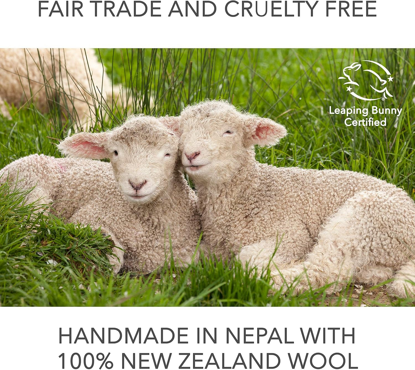 Friendsheep Wool Dryer Balls 6 Pack XL Organic Premium Reusable Cruelty Free Handmade Fair Trade No Lint Fabric Softener Pig - Piggy Band