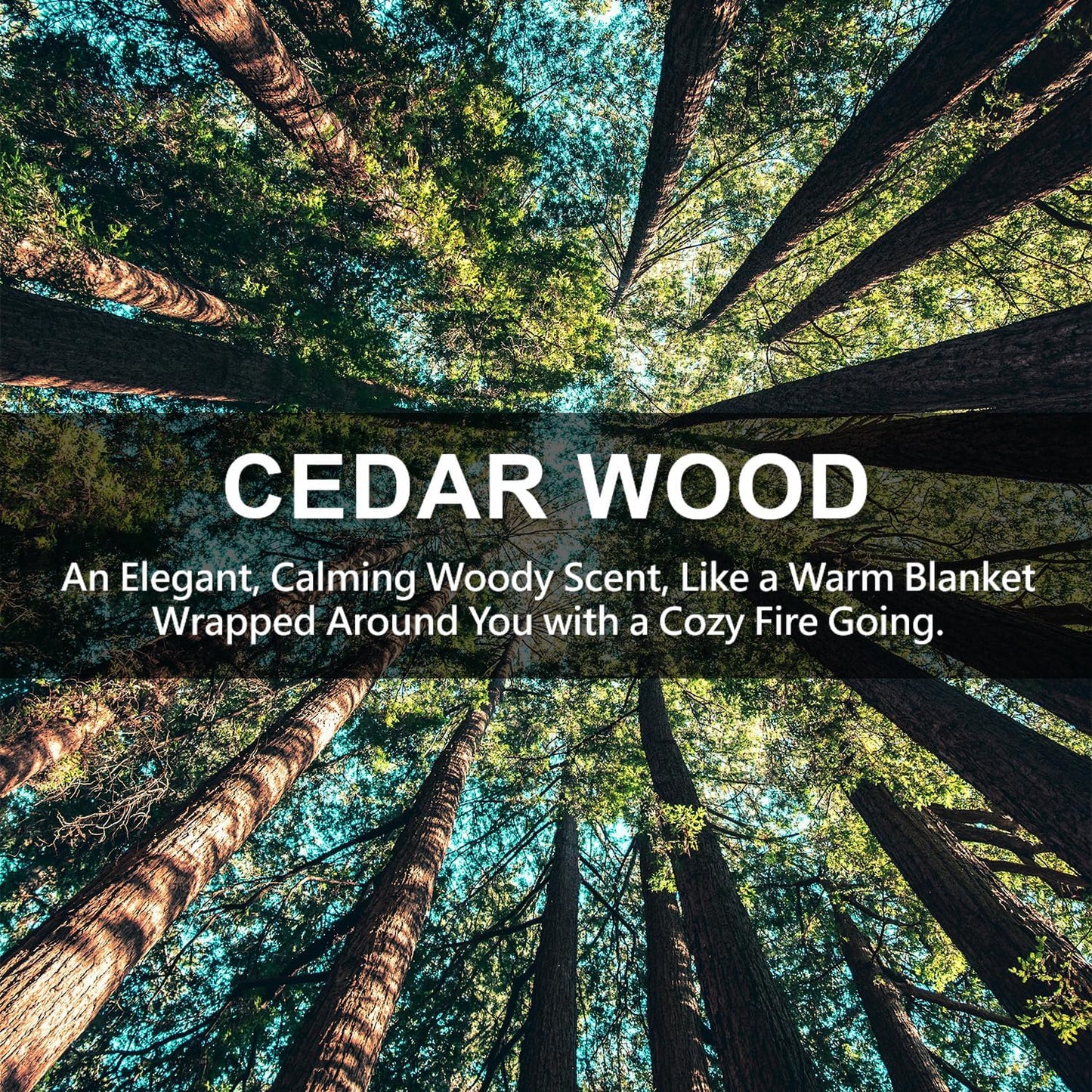 ROSE COTTAGE Large 12 Packs Cedar Wood Hanging Closet Deodorizer Air Freshener Long Lasting Scented Sachets Smell Goods for House